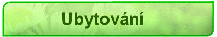 Ubytování